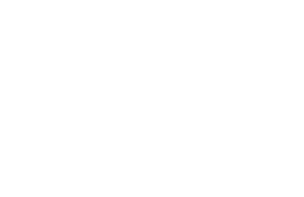 Alloro ufficiale del Moonlight Short Film Festival